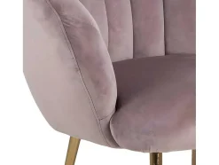 Dany Fauteuil Loungestoel Oudroze, Messingkleurig.
