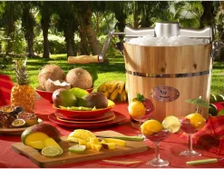 Elektrische Sorbetmaker Givreto Van Hout 3.5L