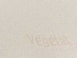 Ergonomisch Hoofdkussen Met Vormgeheugen Dodo Vegetal 60 X 60 Cm