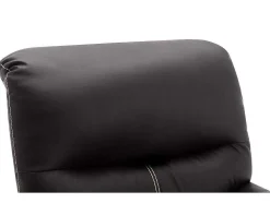 Fauteuil Van Bruine Kunstleer Canby