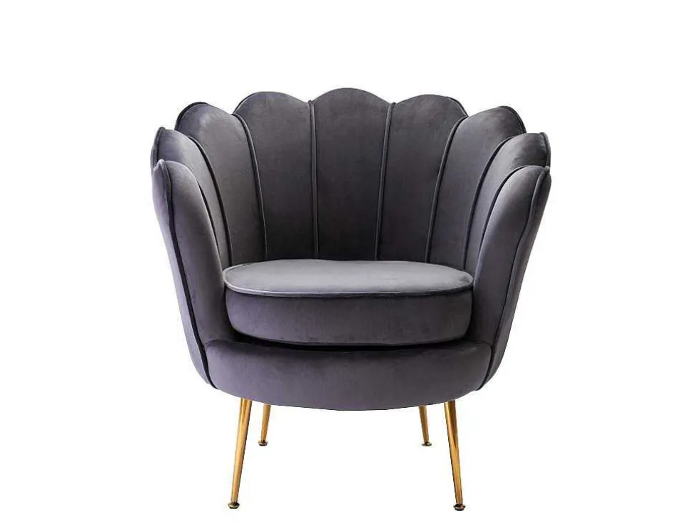 Fauteuil Van Fluweel Dandelion - Antraciet - Van Pascal Morabito