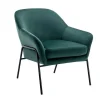 Fauteuil Van Spargroen Velours Cerita