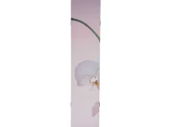 Foto Scherm Bagheria, Orchid