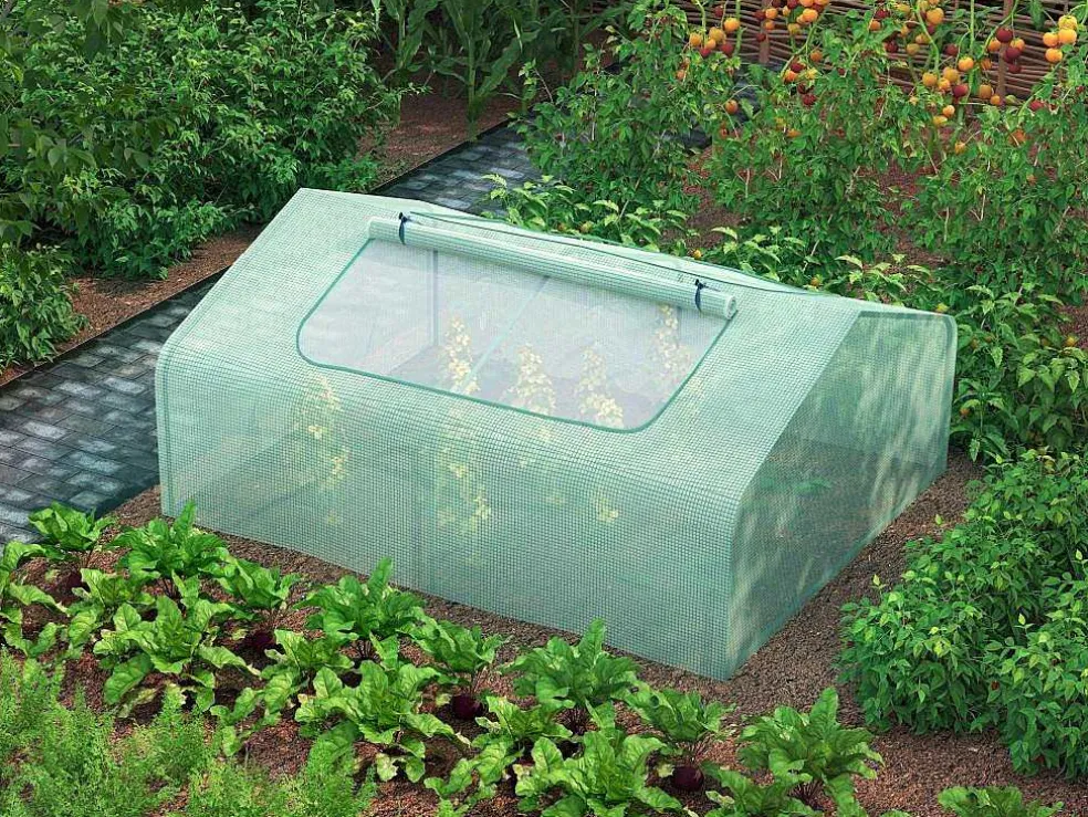 Kleine Tuinkas Gentiane 2,56 M - L180 X B142 X H80 Cm