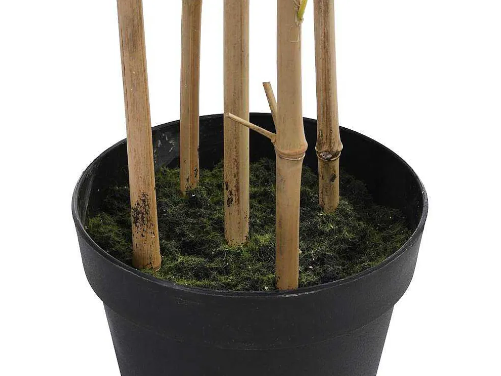 Kunstbamboe Met Natuurlijke Stam - H160 - Mucuri