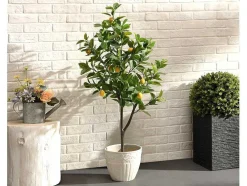 Kunstcitroenboom Met Pot - H120 - Berat