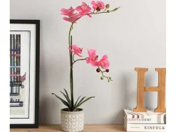 Kunstorchidee Met Pot Van Cement - H55 X B30 Cm - Roze - Riosane