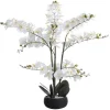 Kunstorchidee Met Pot Van Cement - H65 X B54 Cm - Wit - Tara