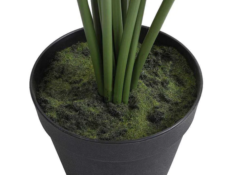 Kunstpalmboom Met Pot - H160 - Palmita