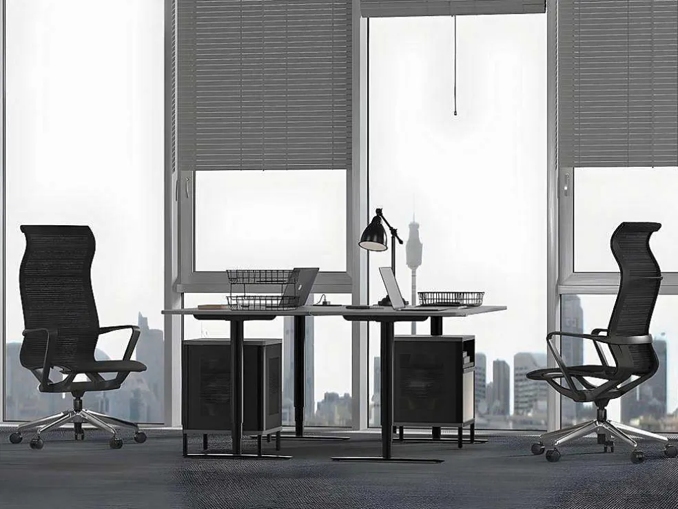 Professionele Bureaustoel - Stof - Zwart - Ladefense