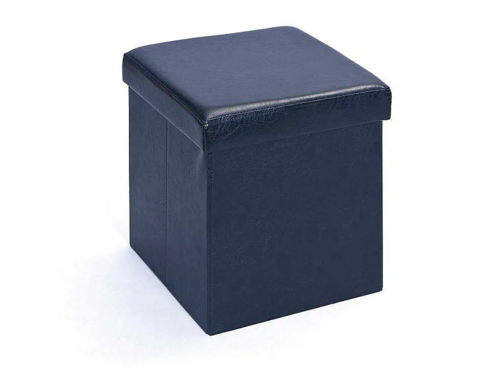 Sanne Opbergdozen Voetenbank Met Deksel, Zwart.