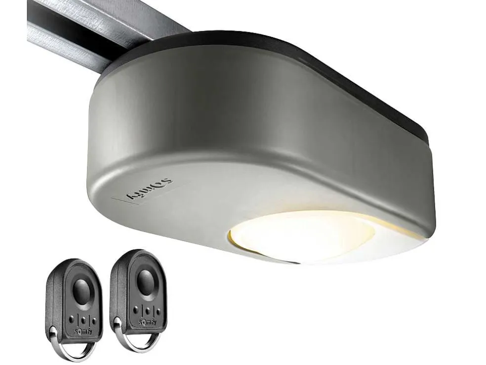 Sectionale Garagedeur Met Glad Effect Met Centrale Witte Loopdeur En Somfy Motor - Lavega