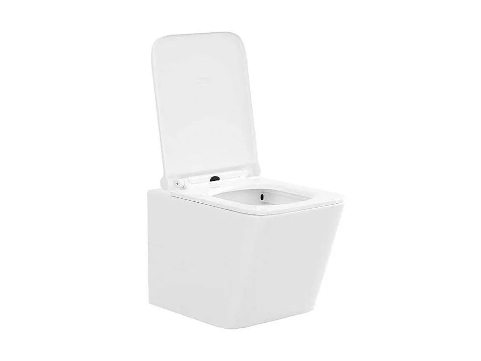 Set Voor Witte Hang-Wc Met Voorwandsysteem En Chroomkleurige Ovalen Bedieningsplaat - Clemona