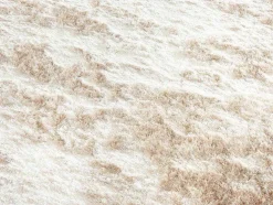 Shaggy Langpolig, Zacht Vloerkleed - 200 X 290 Cm - Beige - Dolce