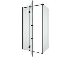 Vast Douchescherm Met Matzwarte Taatsdeur In Industriele Stijl - 80 X 100 X 190 Cm - Princeton