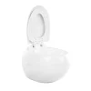 Witte Hang-Wc Van Keramiek - Huro Ii