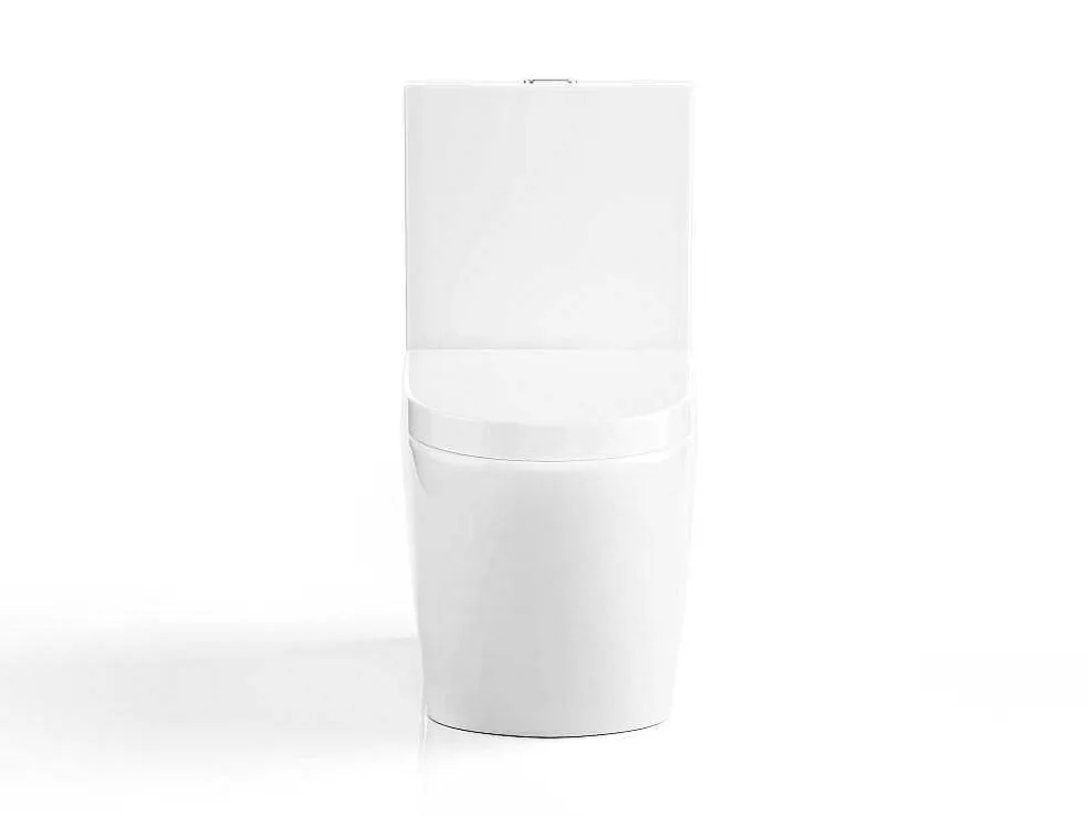 Witte Wc Om Te Plaatsen Van Keramiek - Nagilam